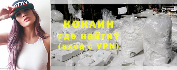 PSILOCYBIN Белокуриха