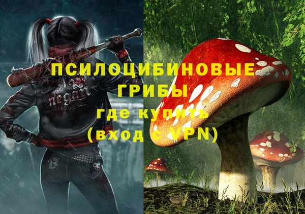 PSILOCYBIN Белокуриха