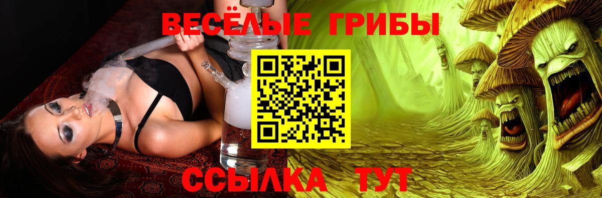 Галлюциногенные грибы мицелий Вятские Поляны